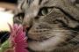 Hva trenger en februarbaby av kl�r? - last post by lille katt
