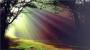 Tvillingguttene ble f�dt 4. juni - last post by Nilla