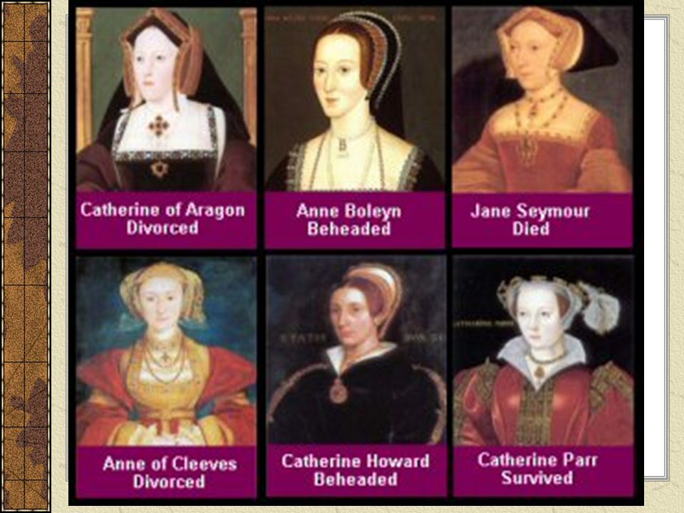 the wives of king henry viii essay Six wives of henry viii an overview of the tudor queens: king henry viii, tudor monarch, ruler of england in sixteenth-century renaissance england, had six wives the fates of the wives can be remembered as divorced, beheaded, died divorced, beheaded, survived. the wives of king henry viii essay Six wives of henry viii an overview of the tudor queens: king henry viii, tudor monarch, ruler of england in sixteenth-century renaissance england, had six wives the fates of the wives can be remembered as divorced, beheaded, died divorced, beheaded, survived.