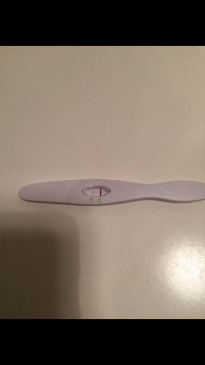 image.thumb.png.64bc1fc0386597ae2dc0e27d
