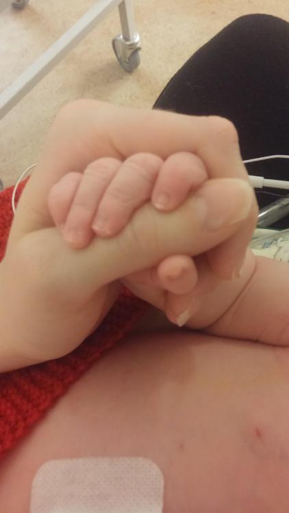 20160128_052919.thumb.jpg.55e82db05da4d7