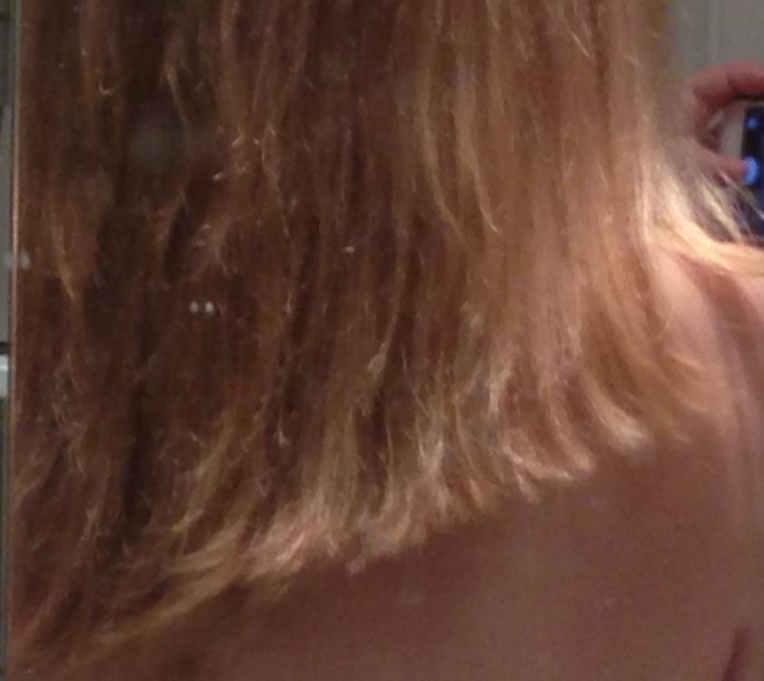 image.thumb.jpeg.e7fcc0a1aacb180848d19c3