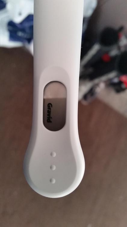 20160210_144235.thumb.jpg.e51f7cea794e91