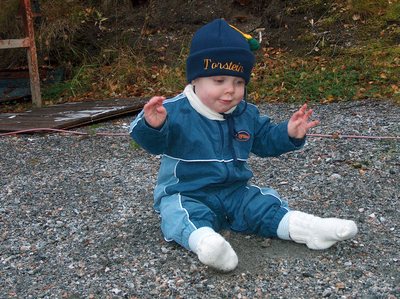 gallery_2024_40_283789.jpg