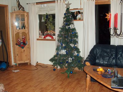 gallery_2024_111_122245.jpg