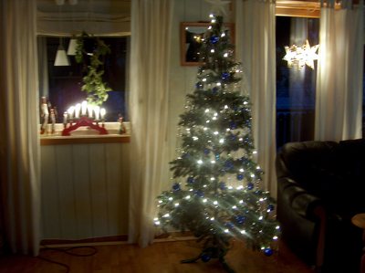 gallery_2024_111_176325.jpg