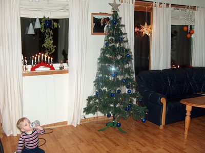gallery_2024_111_439128.jpg