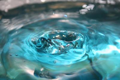 gallery_2024_183_44377.jpg