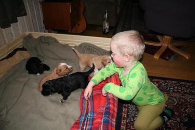 gallery_2024_183_8230.jpg