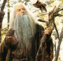 Radagast