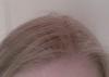 post-37809-0-91487800-1357253960_thumb.j