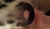 post-54922-0-77647900-1390503429_thumb.j
