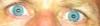 post-1435-0-96159200-1359909835_thumb.jp