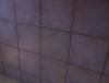 post-37809-0-99198200-1360663624_thumb.j