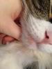 post-37809-0-35925800-1393414245_thumb.j