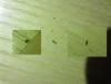 post-37809-0-69274900-1394417266_thumb.j