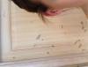 post-55086-171182_thumb.jpg