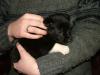 post-23395-1239282252_thumb.jpg