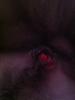 post-59998-0-50382600-1335643665_thumb.j