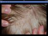 post-17688-0-78390100-1366651277_thumb.j