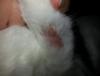 post-68659-0-77870300-1366462558_thumb.j