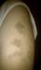 post-37809-0-44157600-1397576291_thumb.j