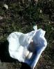 post-85862-0-66031700-1429709618_thumb.j
