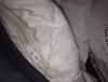 post-88046-1639125_thumb.jpg