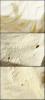 post-21517-1210168882_thumb.jpg