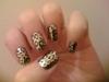 post-24228-0-70635500-1305193593_thumb.j