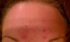 post-37809-0-97266200-1336382857_thumb.j