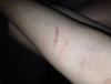 post-37809-0-02554400-1400371061_thumb.j