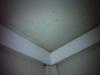post-37809-0-33207700-1432114829_thumb.j