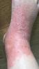 post-92037-0-01350600-1430760810_thumb.j
