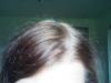 post-37809-0-85356300-1340033143_thumb.j