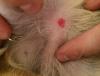 post-72889-354049_thumb.jpg