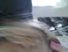 post-83462-114194_thumb.jpg