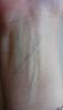 post-20216-0-10326400-1434022741_thumb.j