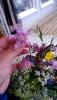 post-37809-0-46543000-1435570440_thumb.j