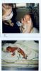 post-28444-1249039296_thumb.jpg
