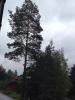 post-37809-0-70136500-1407082723_thumb.j