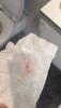 post-81323-0-50570500-1439462633_thumb.j