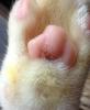 post-37809-0-63992900-1348158437_thumb.j