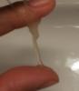 post-37809-0-17024400-1441898279_thumb.j