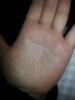 post-37809-0-30343000-1382792910_thumb.j