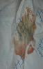 post-37809-0-82011400-1444814513_thumb.j