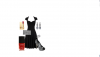 post-27573-1288719366,8534_thumb.png