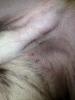 post-37809-0-23933200-1353434743_thumb.j