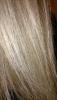 post-37809-0-26322100-1416884591_thumb.j