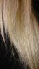 post-37809-0-56056600-1416884595_thumb.j